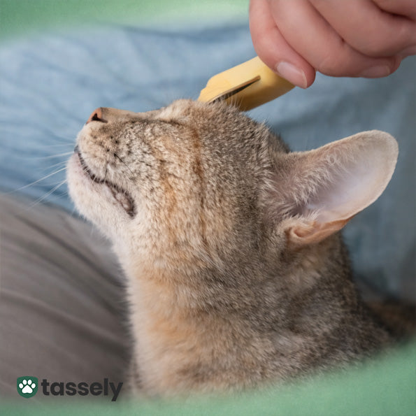 Hvor ofte bør jeg bruke den?