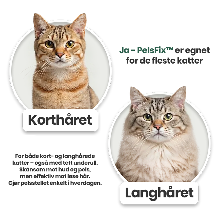 Passer den til katten min?