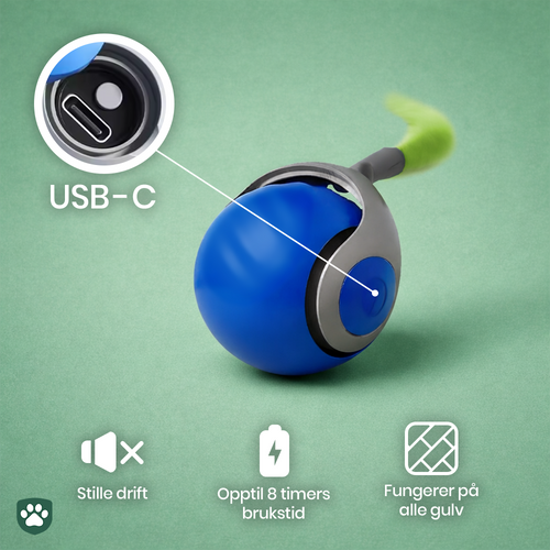 Instinkt™ – Vekker kattens naturlige jaktinstinkt