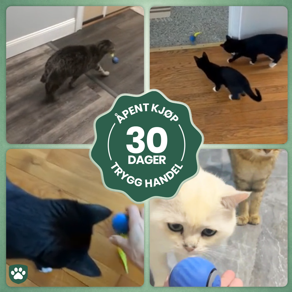 Instinkt™ – Vekker kattens naturlige jaktinstinkt