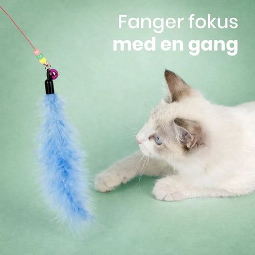 Fjærvippe
