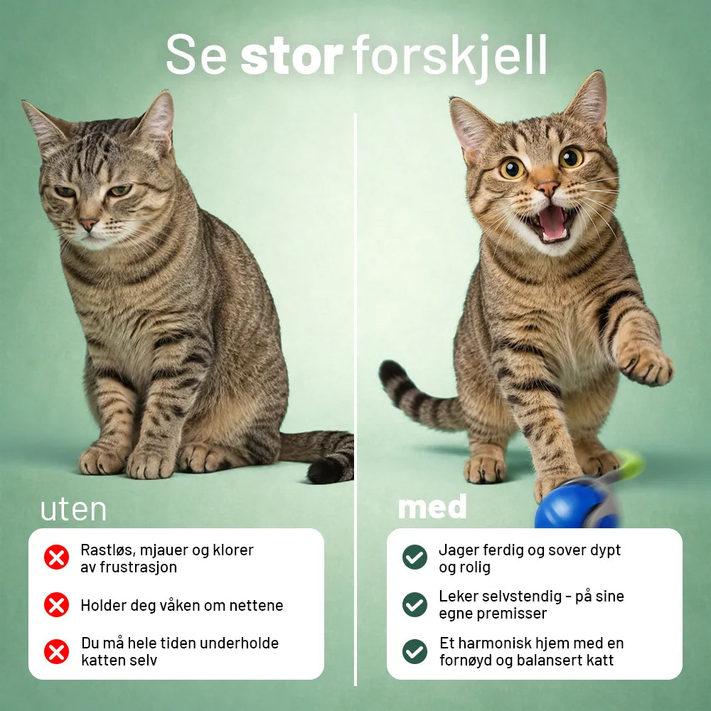 Instinkt™ – Vekker kattens naturlige jaktinstinkt