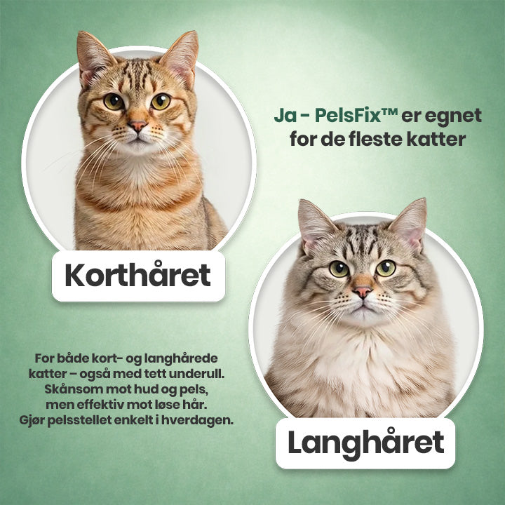 PelsFix™ – Enklere pelsstell for deg og katten din